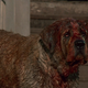 Image for article titled All 58 Stephen King Movie and TV Series Adaptations, Ranked